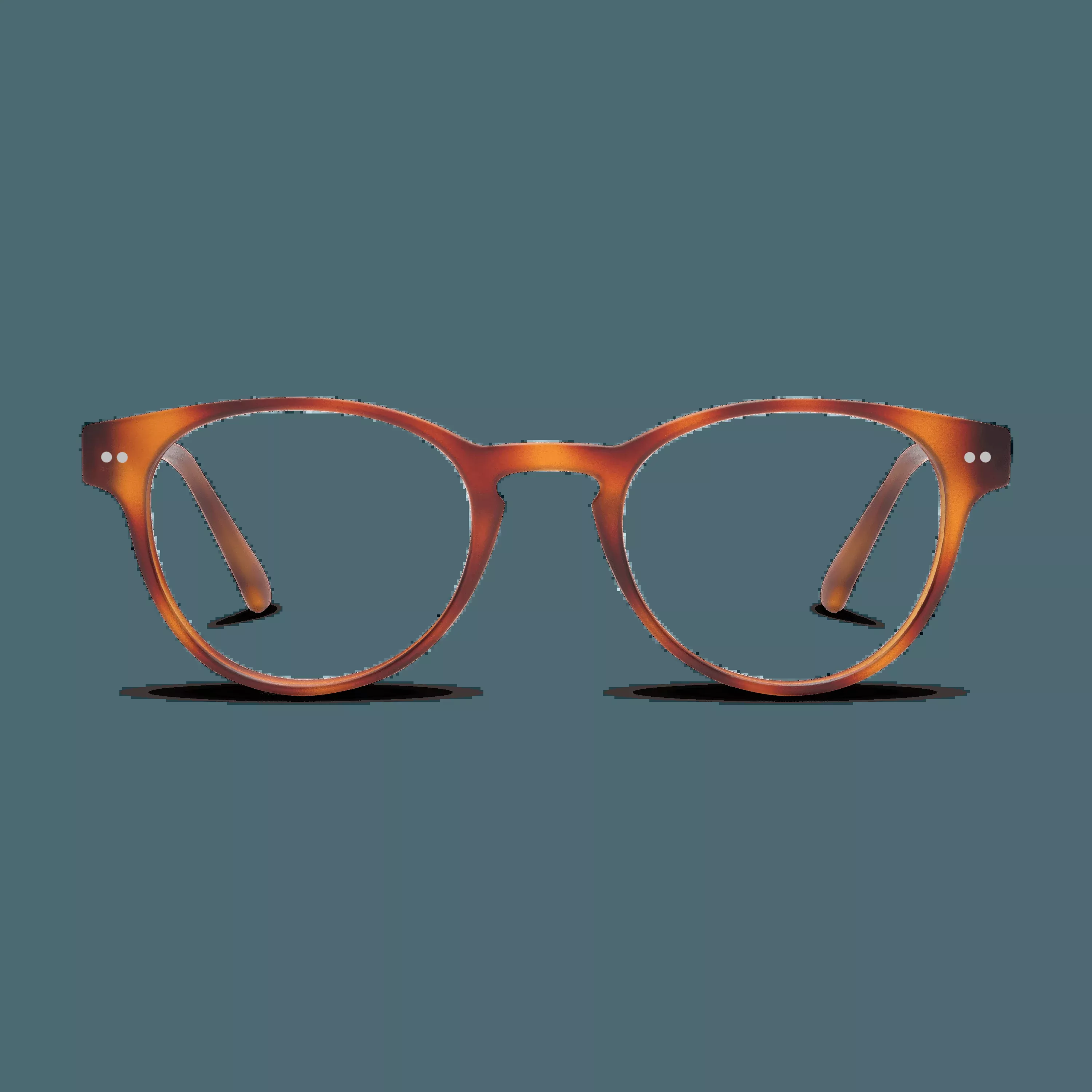 Abbey Progressives