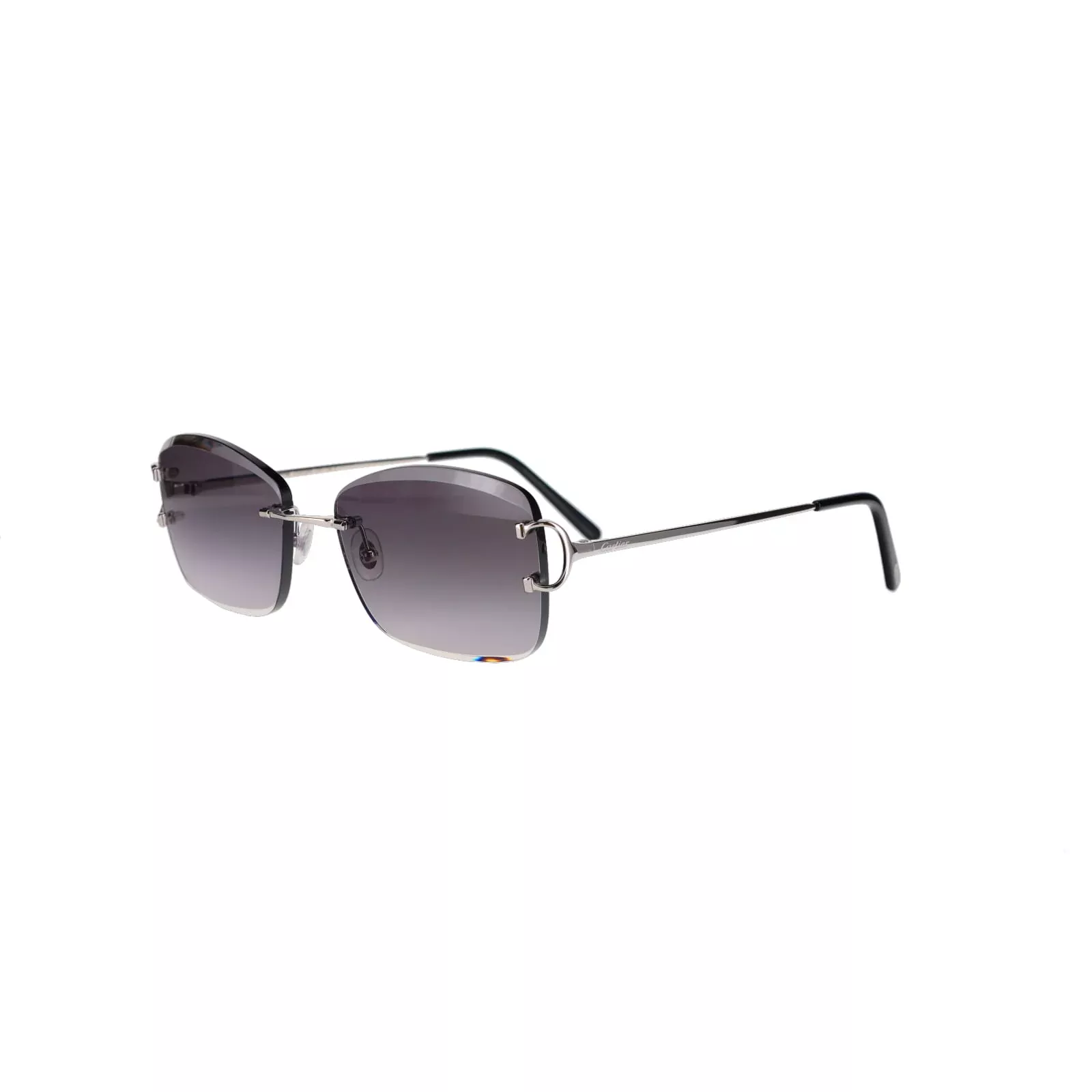CT0010RS Signature C Sunglasses
