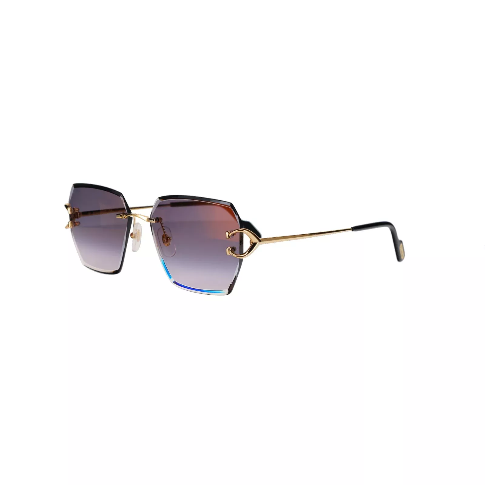 CT0466SSignature C Sunglasses