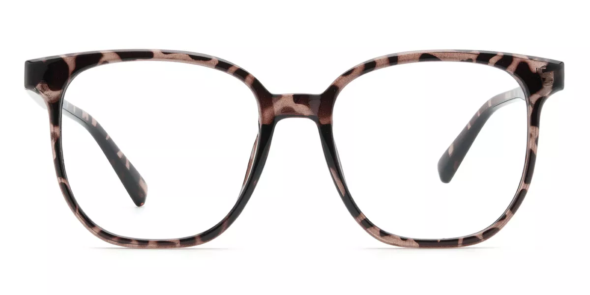 Zico Glasses